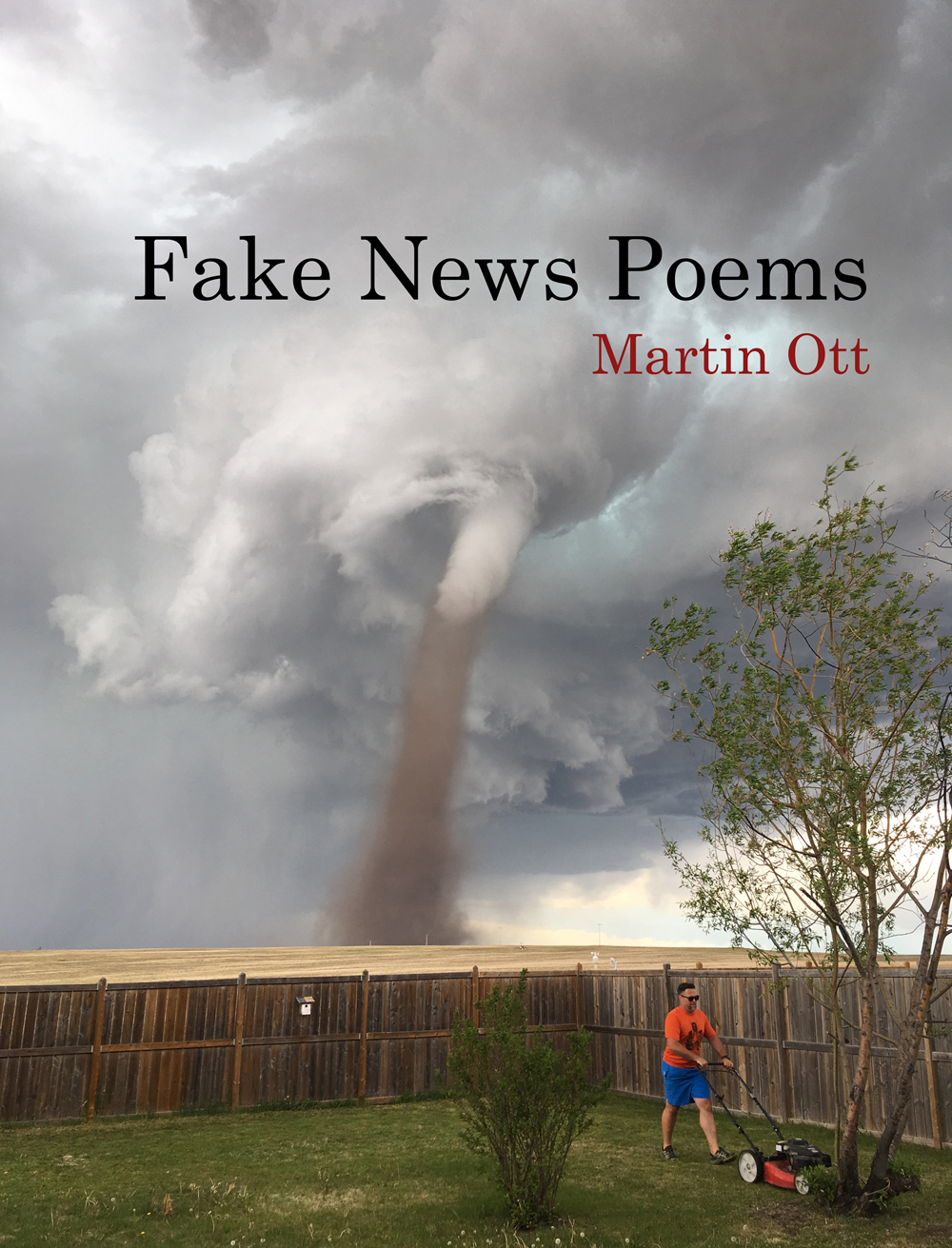 REVIEW: Fake News Poems by Martin&nbsp;Ott