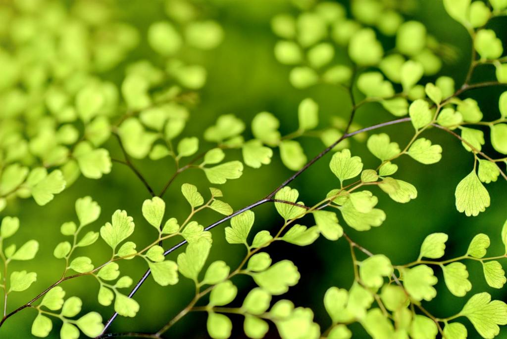 Poetry: “SO IT’S SPRING” by Jacqueline Hughes&nbsp;Simon
