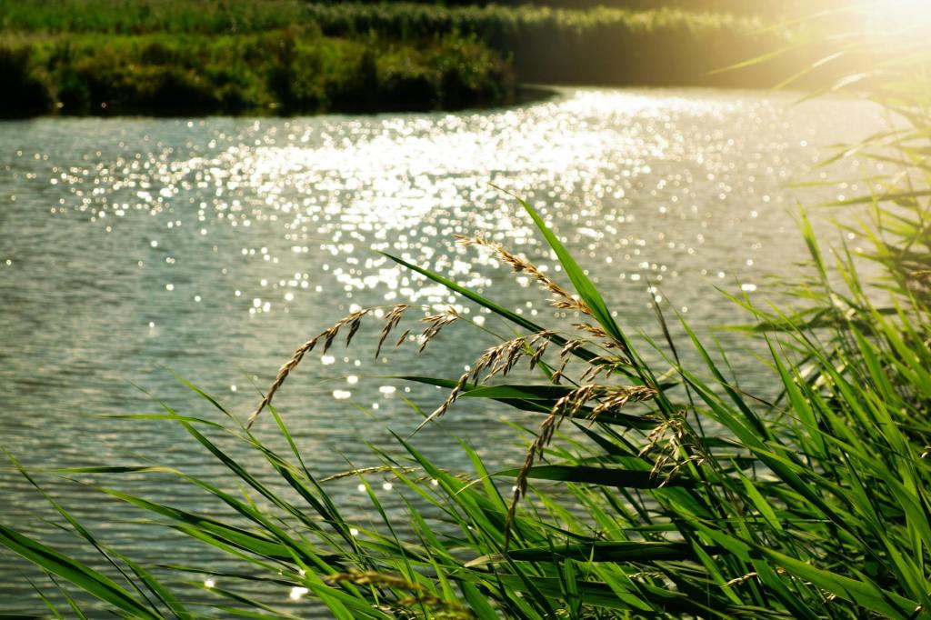 Prose: “Pirates of the Willamette” by Adam&nbsp;Matson