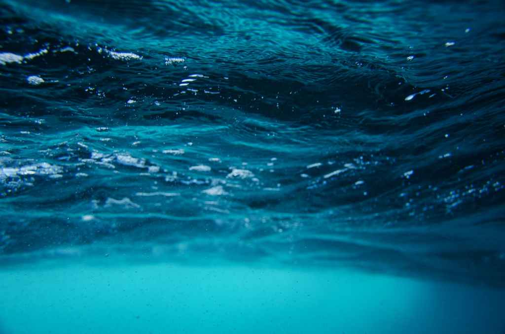 Poetry: “Aquarium” by S. Rogers&nbsp;Ellis