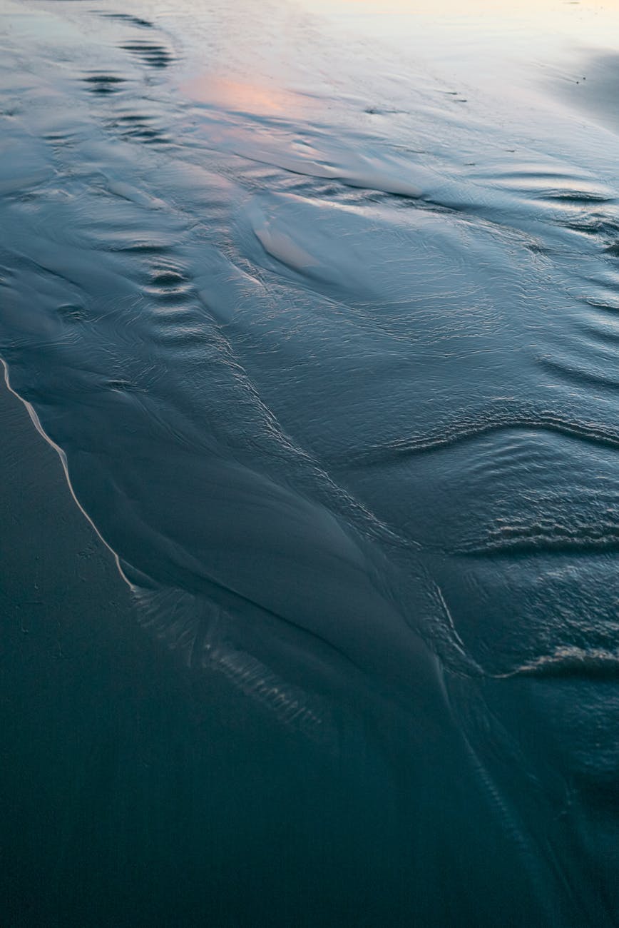 Poetry: “ESTUARY” by Alison&nbsp;Hicks