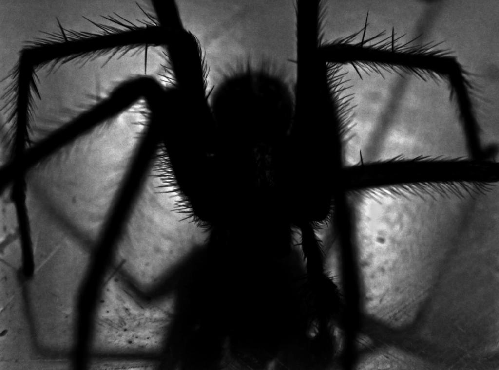 Prose: “The Oneironautics Conference,” by Nemo&nbsp;Arator