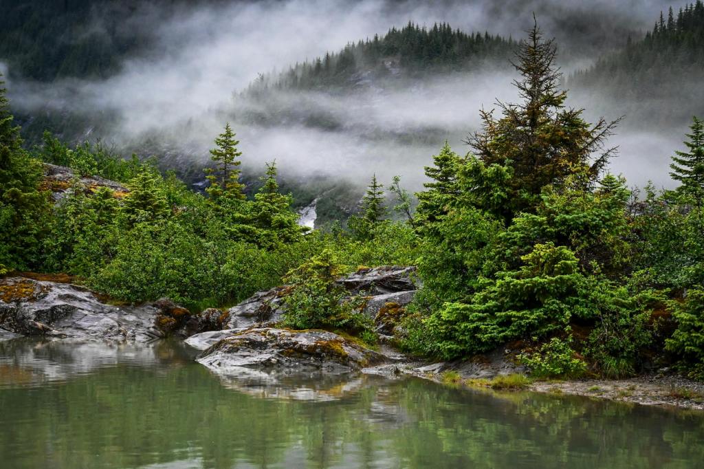 Poetry: “Idyll of the Sipsey Wilderness,” by J.R.&nbsp;Forman