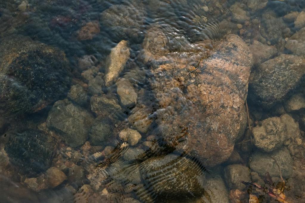 Poetry: “Story,” by Giles&nbsp;Goodland
