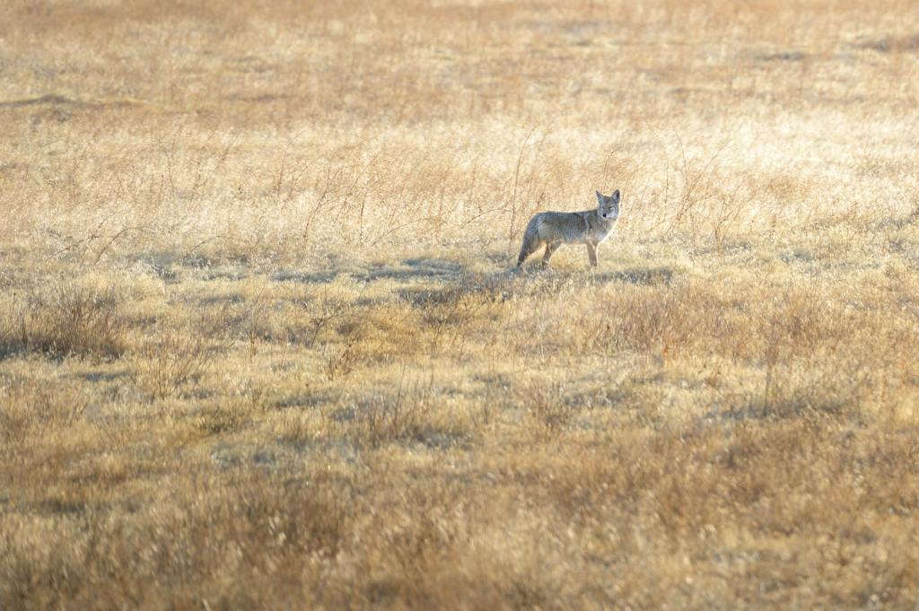 Poetry: “What You Say When You Die,” by J. R.&nbsp;Forman