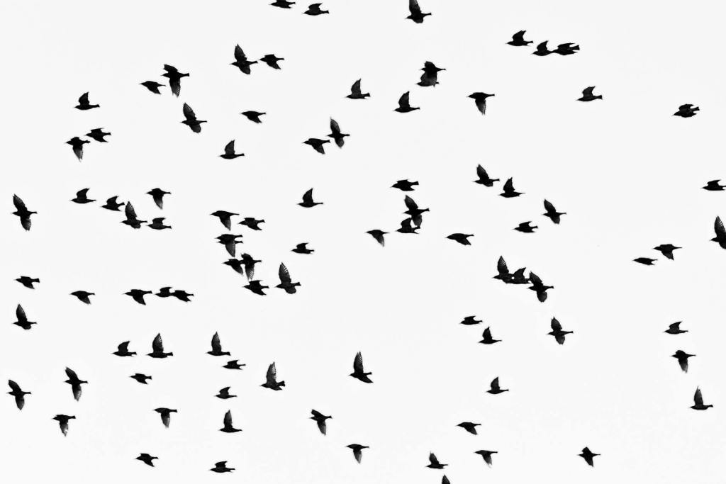 Poetry: “Ghosts Come,” by Jane&nbsp;Wiseman