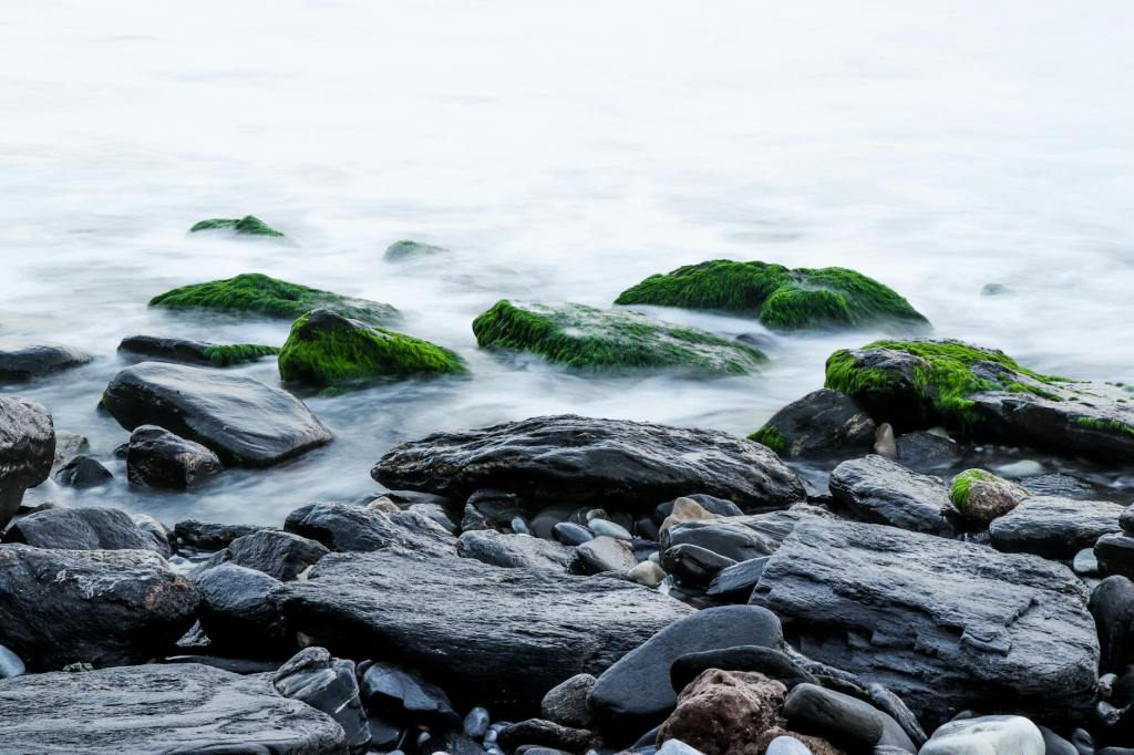Poetry: “a black love,” by Richie&nbsp;George