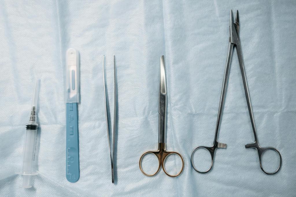 Prose: “something that knows it’s dead,” by Isabel&nbsp;Yacura