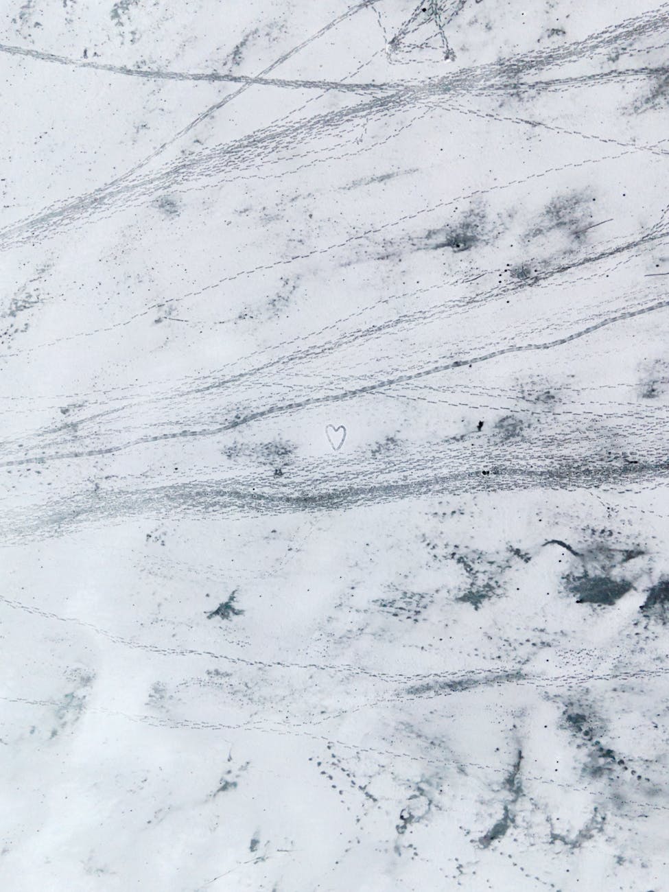 Prose: “Don’t Be Afraid to Forget,” by Griffin&nbsp;Gudaitis