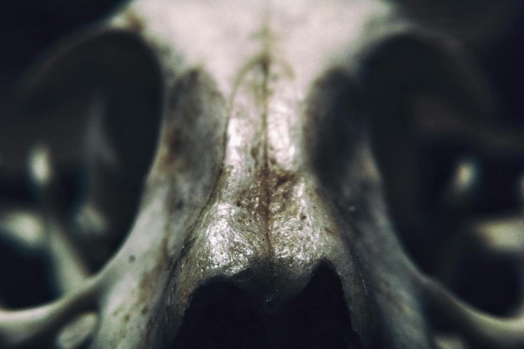 Prose: “Death Cannot Part Them,” by Maiah&nbsp;Jezek