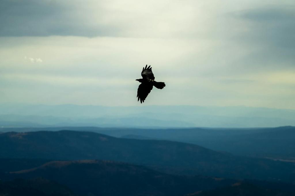 Poetry: “On Remembering the Polished Jewel in My Pocket,” by Frank&nbsp;LaRussa