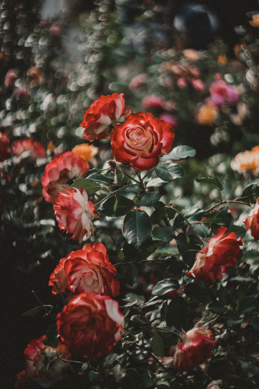 Poetry: “Fire Season,” by Tina&nbsp;Johnson