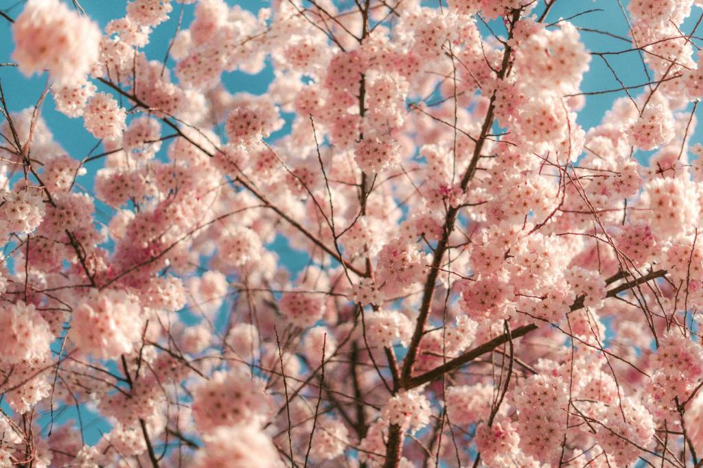 Poetry: “April 14th One Week After Week One,” by Terry&nbsp;Trowbridge