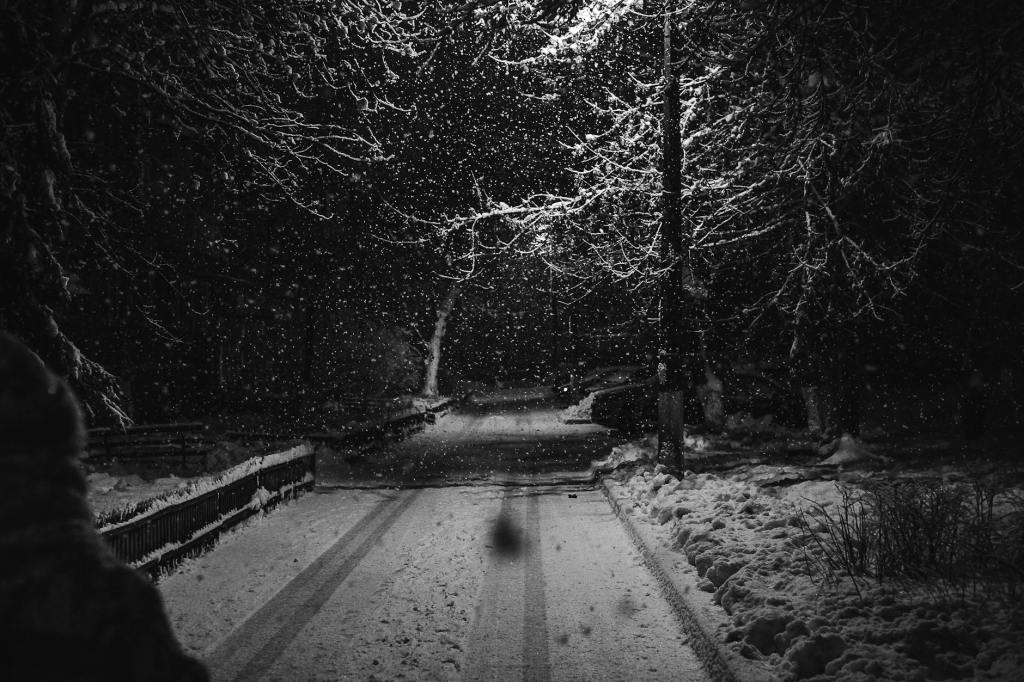 Prose: “The Letter,” by Colby&nbsp;Galliher