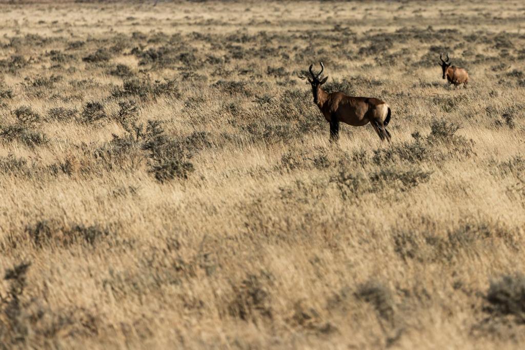 Poetry: “Letter to E. from the Elko County Jail,” by Will&nbsp;Falk